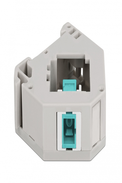 Delock Keystone-jackadapter för DIN-skena - 87173