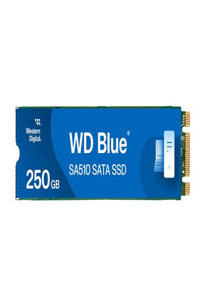 WD Blue SA510 WDS250G3B0B-00AXS0