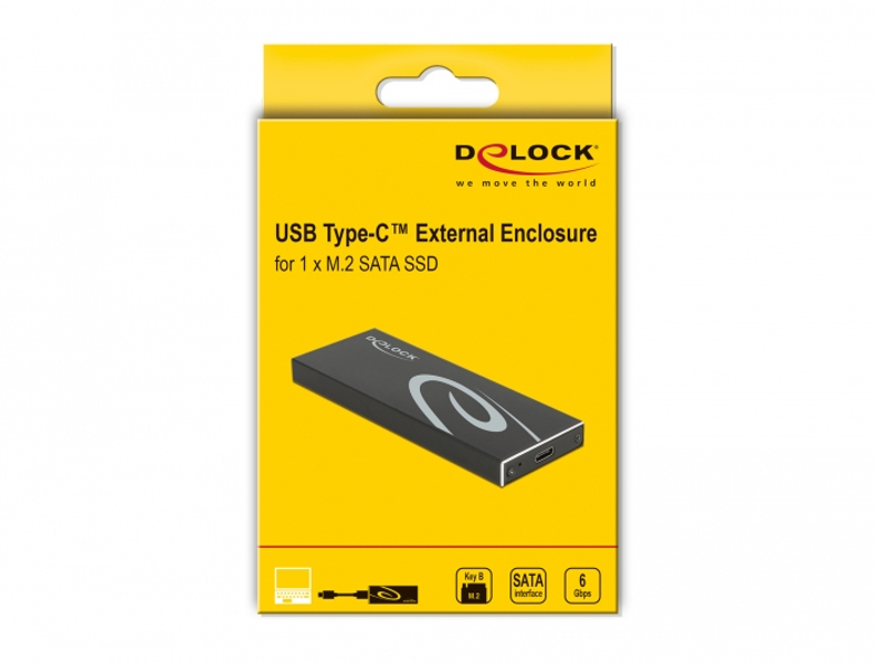 Delock 42003 - SSD enclosure - M.2 - Serial ATA III - 42003
