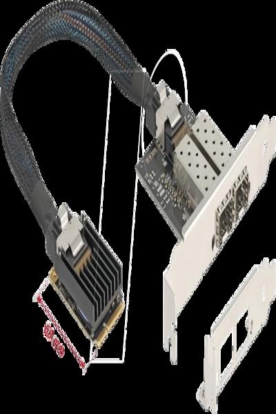 Delock 95281 Mini PCI Express to SFP 0.3m - 95281