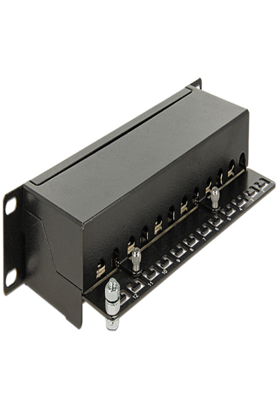 Delock Patchpanel - CAT 6 - RJ-45 X 12 - 43297