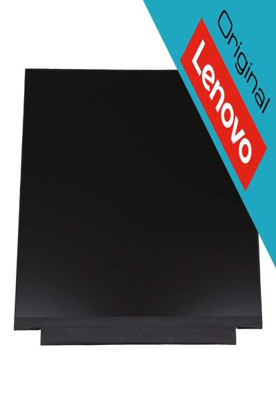 Écran IPS Lenovo SD10K93482 1920 x 1080 mat