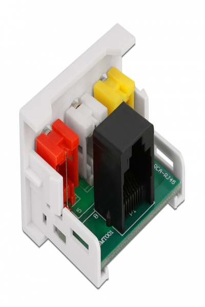 Delock Easy 45 - snap-in modules - 81342