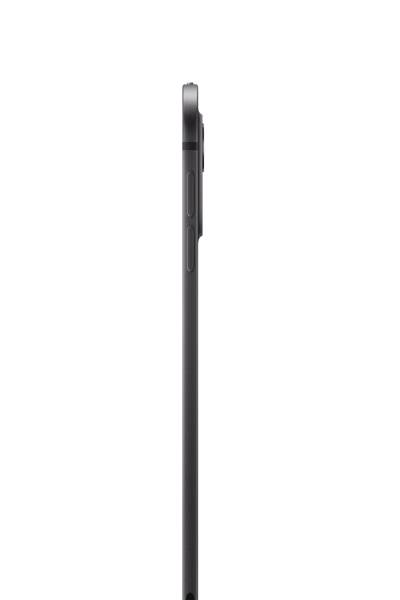 iPad Pro 11" WiFi 2 To Noir Sidéral
