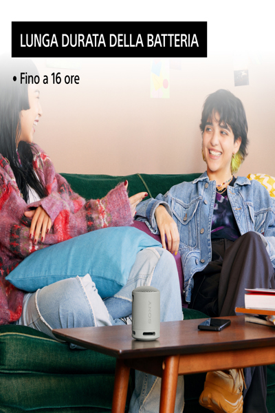 SRSXB100H.CE7 - SRSXB100H.CE7