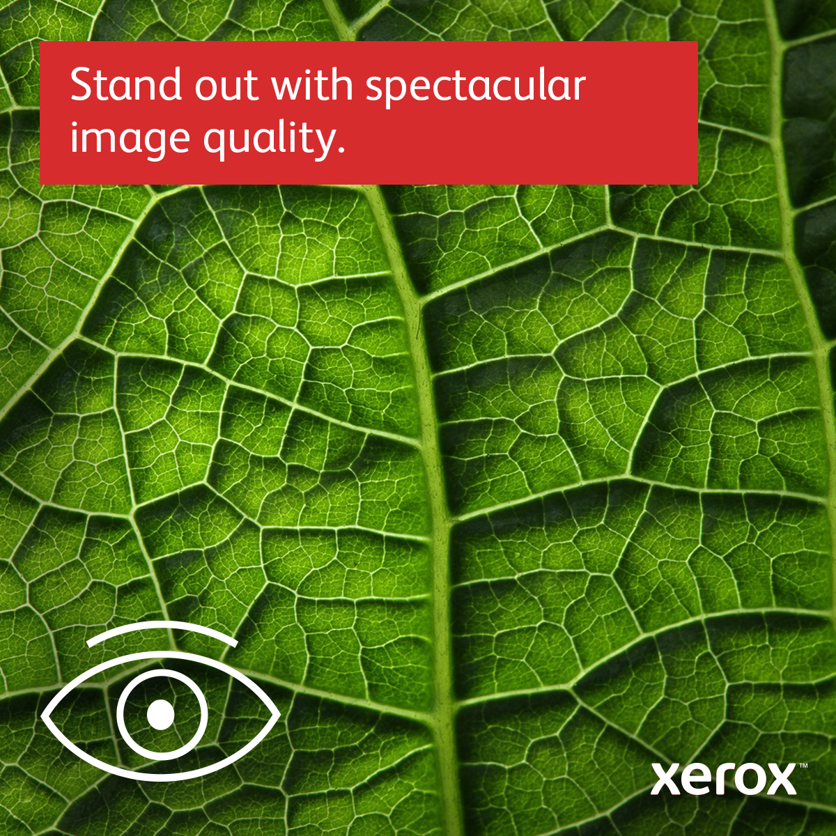 Xerox C310 Color Laser Printer - C310V_DNI