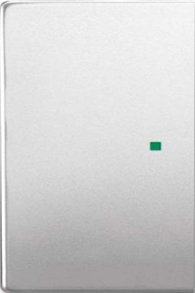 BUSCH JAEGER 6230-20-866 Bascule en acier inoxydable
