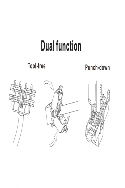 Delock Keystone-modul - Modulär insats - 86405