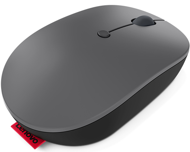 Go - Maus - ergonomisch - rechts- und linkshändig - optisch blau - 5 Tasten - kabellos - 2.4 GHz - USB-C Wireless-Empfänger - Storm Gray - för ThinkCentre M90, ThinkPad E14 Gen 3, V14 G2 IJL, V15 G2 IJL, Yoga Slim 7 Pro 16 - 4Y51C21216
