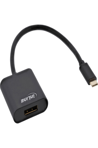 Convertisseur d'affichage USB InLine - USB-C mâle vers DisplayPort 4K/60 Hz