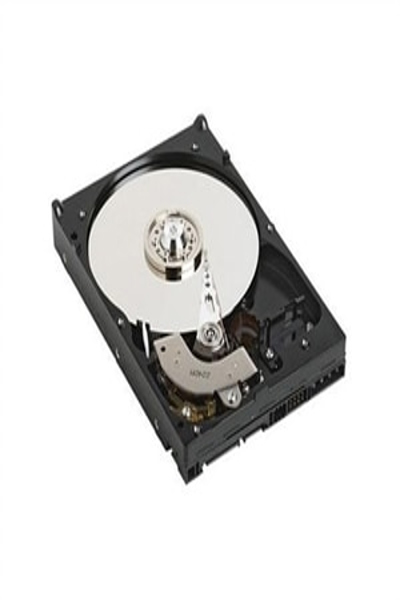 Dell 1 TB intern hårddisk - 400-ALEI
