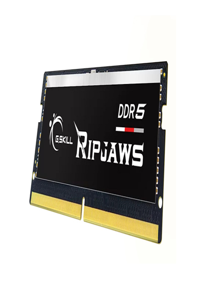 F5-5600S4040A16GX1-RS - F5-5600S4040A16GX1-RS