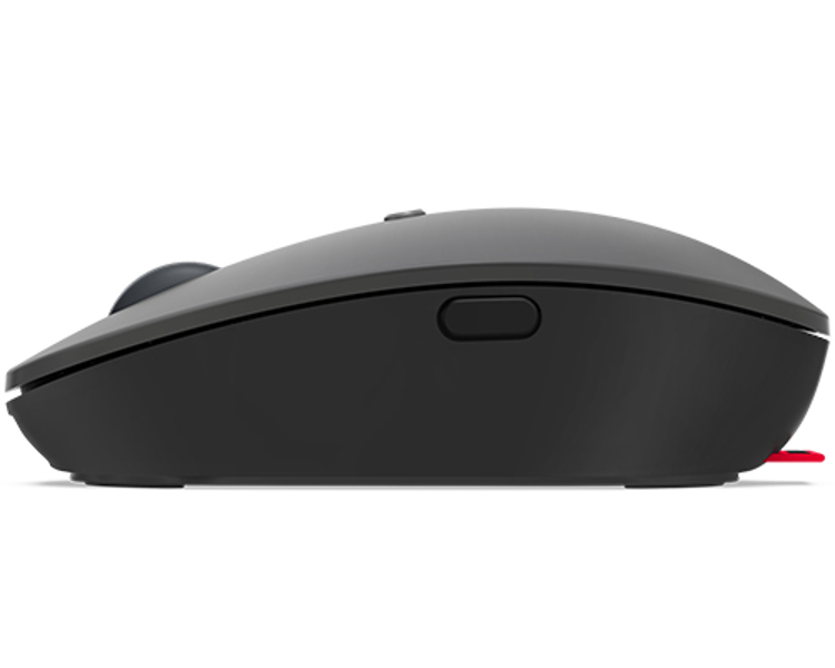 Go - Maus - ergonomisch - rechts- und linkshändig - optisch blau - 5 Tasten - kabellos - 2.4 GHz - USB-C Wireless-Empfänger - Storm Gray - för ThinkCentre M90, ThinkPad E14 Gen 3, V14 G2 IJL, V15 G2 IJL, Yoga Slim 7 Pro 16 - 4Y51C21216