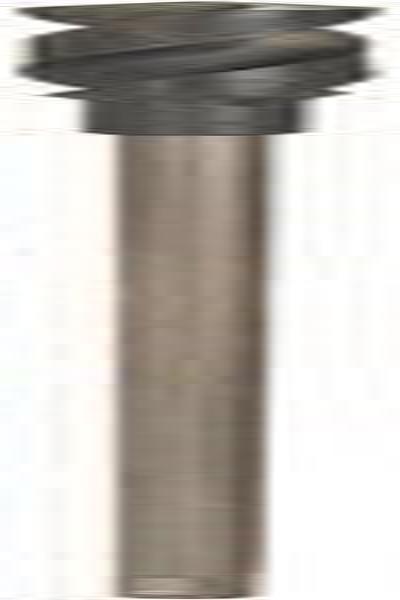 Bosch Schalungsbohrer 22 mm GesamtlÃƒÂ¤nge 600 2608597413 SDS-Plus 1 St