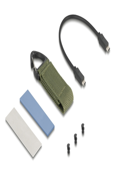 Delock M.2 NVMe SSD GehÃƒÂ¤use USB 40 Gbps - werkzeugfrei - Case - USB Typ C - 42033