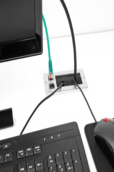 Delock Keystone-uttag - 66896