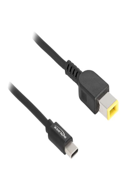 Delock Power cable - 24 pin USB-C (M) to DC jack 11 x 4.5 mm (M) - 87970