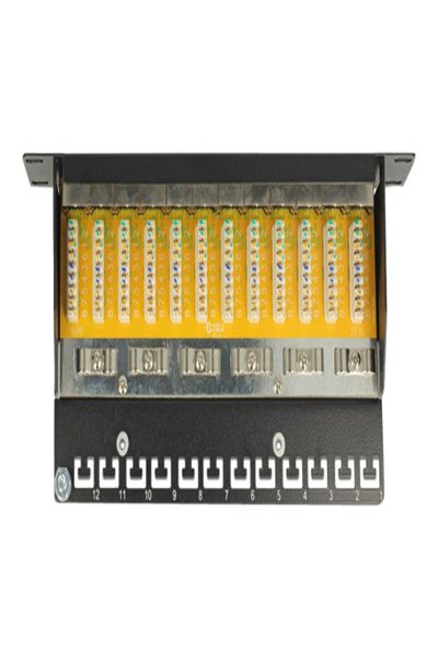 Panneau de brassage Delock - CAT 6 - RJ-45 X 12
