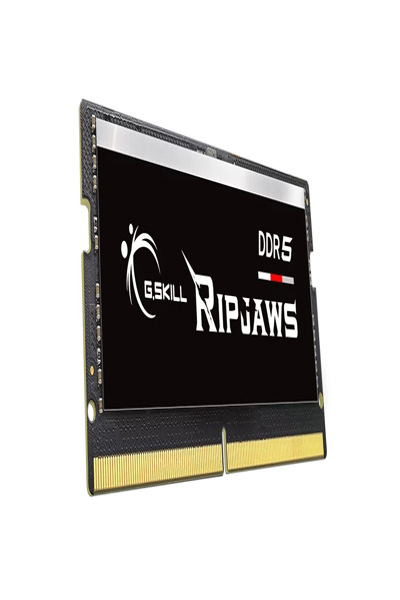 F5-5600S4040A16GX1-RS - F5-5600S4040A16GX1-RS