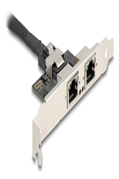 Delock 95280 Mini PCI Express to RJ-45 0.3m - 95280