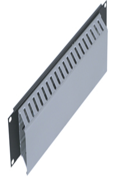 TRITON 19" 2U Panel with Cable Trunking Black - RAB-VP-X04-A1