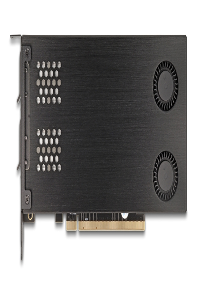 Delock Interface adapter - M.2 - 47042