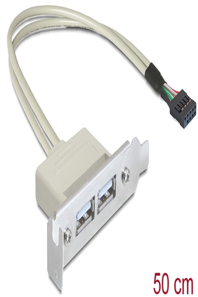 Support de fente Delock - câble USB