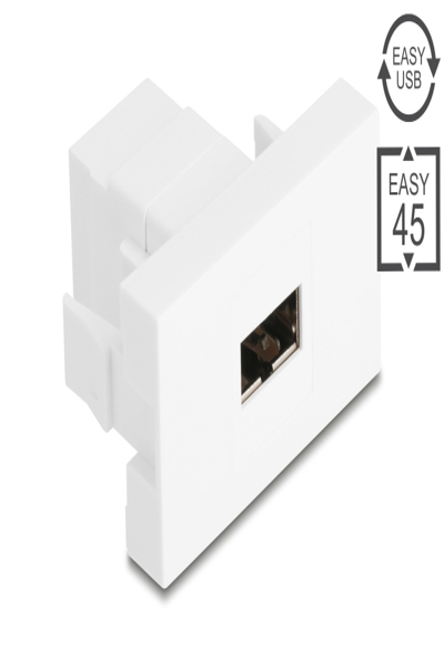 Module Delock Easy 45 Easy-USB 2.0 Type-A femelle vers - Numérique
