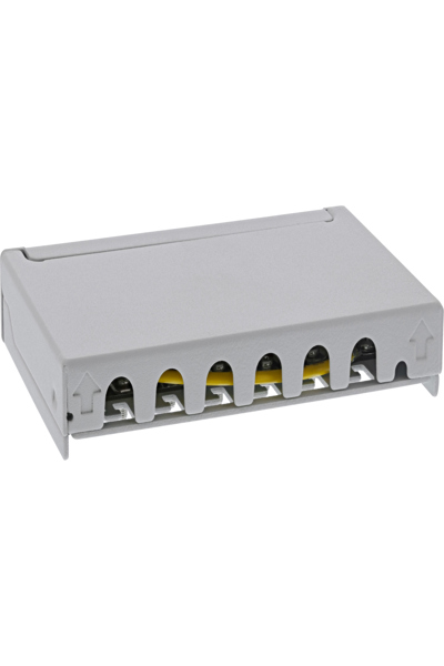 Panneau de brassage InLine Cat.6A 0,5U 6 ports - table/mur/rail - gris avec protection anti-poussière