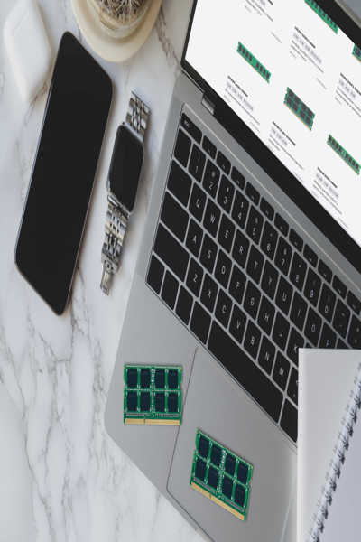 W-DL16S08G - W-DL16S08G