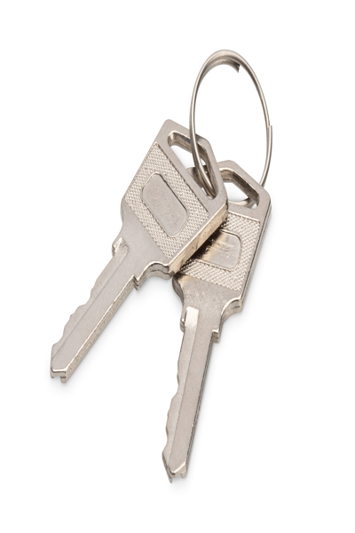 DIGITUS Laddskåpsnyckel - DN-45000-KEY