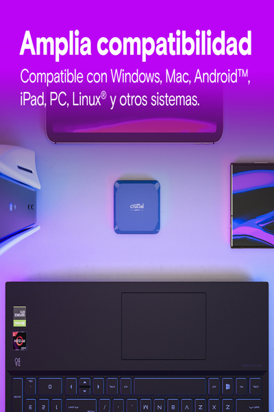 Crucial X10 Encrypted SSD - CT1000X10SSD9