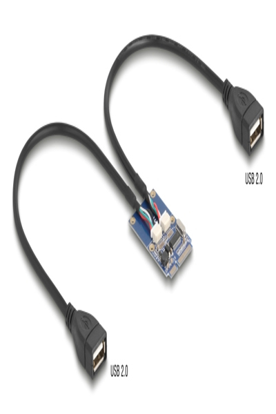 Delock Mini PCIe Adapter full size zu 2xUSB 2.0 Typ-A Buchse - Adapter - Digital - 64346
