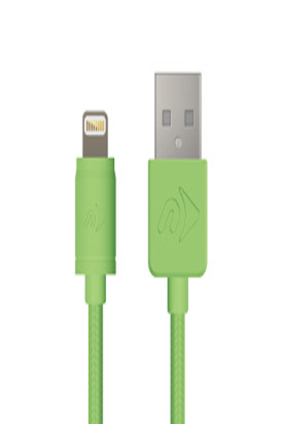 Câble Lightning OWC NWTCBLUSBL1MGN 1 m