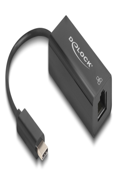 Delock USB 2.0 Type-C Adapter zu 10/100 Mbps LAN - Adapter - Digital - 64306
