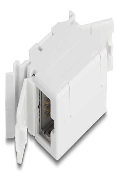 Prise RJ45 Cat.6A Delock avec rabat de protection contre la poussière pour montage sur rail DIN