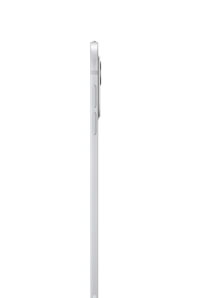 iPad Pro 11 pouces Wi-Fi + Cellular