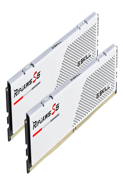 G.Skill CL28 KIT 32-RS5W DDR5 32 Go