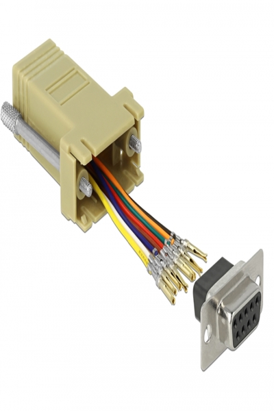 Delock Adapter Sub-D 9-polig hona till RJ45 hona monteringssats - 66164