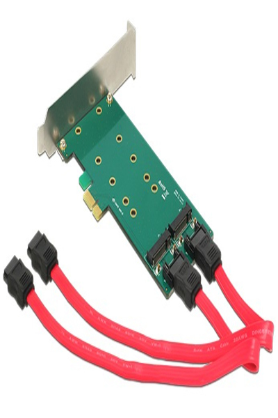Delock PCI Express-kort > 2 x intern M.2 - 89473