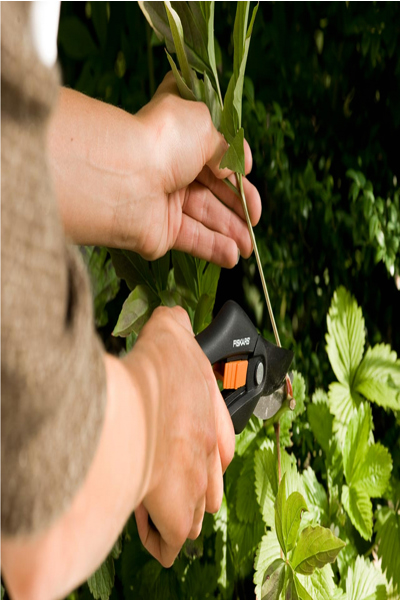 Fiskars 111260 Bypass Pruner Black 20.8cm - 111260
