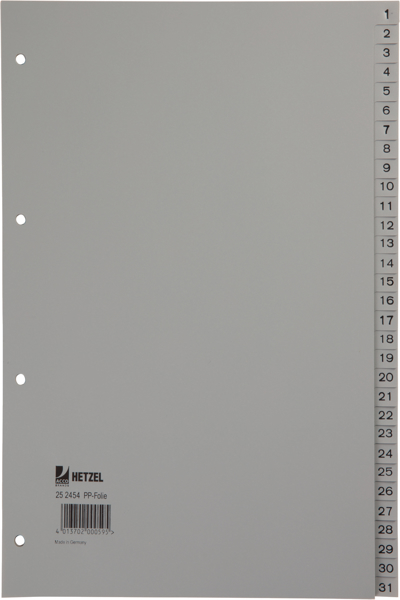 Rexel Kunstst.Register A4 31tlg grau - Grau - 226 mm - 29.7 cm - 225 - 298 - 4