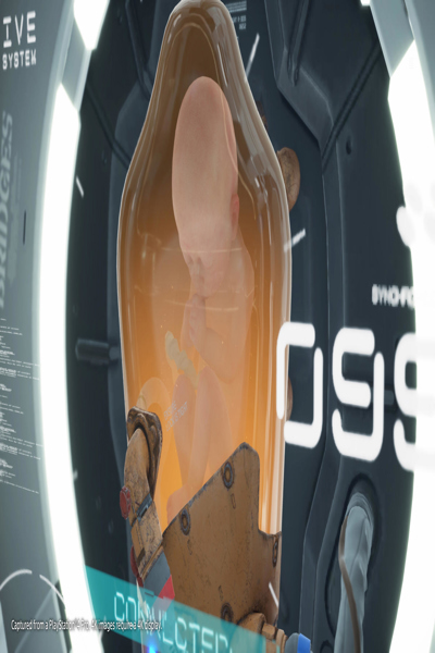 Sony Death Stranding PlayStation 4 M - 711719951704