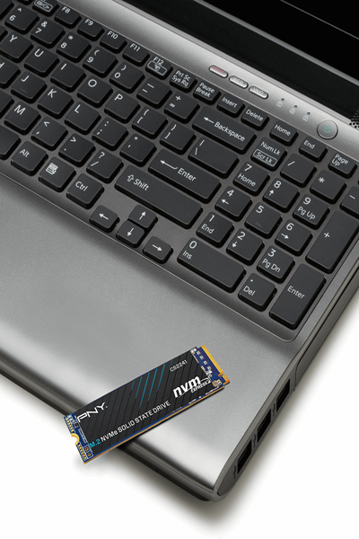 PNY 2TO NVME GEN4 M.2 CS2241 - M280CS2241-2TB-RB