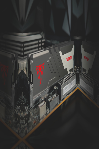 PATRIOT-minne Viper Venom, 64 GB, 2 x 32 GB, DDR5, 288-pins DIMM, svart, vit - PVVR564G600C30K