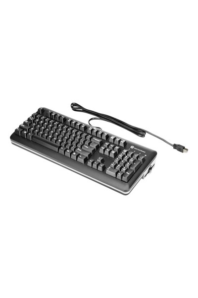 HP CCID Smartcard Keyboard: USB - E6D77AA#ABD