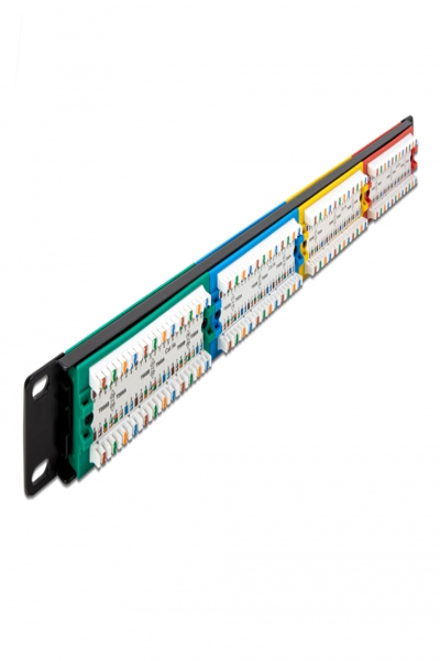 Delock Patch panel - cabinet mountable - 66880