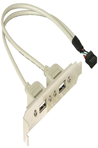 Delock USB panel - 10 pin USB header (M) to USB (F) - 71000