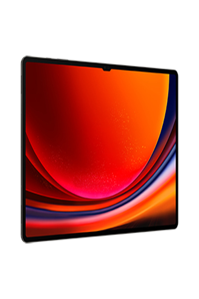 Samsung Galaxy Tab S9 Ultra - Tablet - SM-X916BZAAEUB