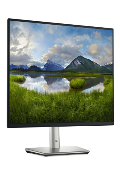 Dell P2225H 21.5" LED Monitor - P2225H